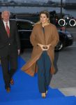 Amsterdam 1 december 2014
Koningin MÃ¡xima reikt Prins Bernhard Cultuurfonds Prijs 2014 uit in het Anne theater