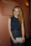 Amsterdam 24 november 2014
Het Red Carpet Dinner van Addy van den Krommenacker in het pullitzer hotel in Amsterdam. Pip Pellens