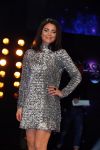 Aalsmeer 20 november 2015
Sabia Boulahrouz zwanger in het programma Mindmasters van SBS6.
Mindmasters Live, Uri Geller, Walter Rolfo, Patty Brard  Wolter Kroes Jochem v Gelder Peter R de Vries Boer geile Geert Monique Smit Patty Brard Kay nambiar en K# Lisa Michels. Kim LIan v d Meij presenteert het in studio Aalsmeer.