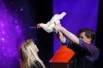 Aalsmeer 20 november 2015
Sabia Boulahrouz zwanger in het programma Mindmasters van SBS6.
Mindmasters Live, Uri Geller, Walter Rolfo, Patty Brard  Wolter Kroes Jochem v Gelder Peter R de Vries Boer geile Geert Monique Smit Patty Brard Kay nambiar en K# Lisa Michels. Kim LIan v d Meij presenteert het in studio Aalsmeer.