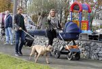 Den Haag 27 november 2016
Babyshower van Andre Hazes Jr. Natuurlijk zijn zijn vader Andre en moeder Monique aanwezig.