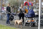 Den Haag 27 november 2016
Babyshower van Andre Hazes Jr. Natuurlijk zijn zijn vader Andre en moeder Monique aanwezig.