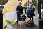 Den Haag 27 november 2016
Babyshower van Andre Hazes Jr. Natuurlijk zijn zijn vader Andre en moeder Monique aanwezig.