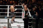 Oberhausen 10 december 2016
Rico Verhoeven wint zijn gevecht met Badr Hari tijdens de GLORY COLLISION in Oberhausen.