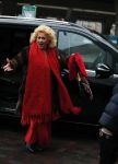 Amsterdam 10 december 2016
Premiere Sing in pathe arena. karin Bloemen