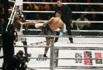 Oberhausen 10 december 2016
Nieky Holzen verliest zijn wereldtitel aan Cedric Doumbe uit Frankrijk tijdens de GLORY COLLISION in Oberhausen.