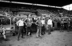 Amsterdam, 28 Mei 1981
PSV C-team wint de KNVB-Beker
met o.a. Rob Landsbergen Ad Smits Frans v Rooy