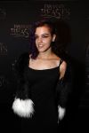 Amsterdam 15 november 2016
Premiere Fantastic beasts in Tuschinski.