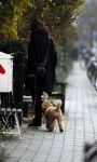 Amsterdam 9 december 2016
Robine v d Meer met hond op straat in Amsterdam zuid