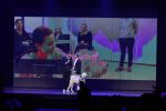 Hilversum 26 september 2016
Finale miss Nederland verkiezing in studio 21. Kim Kotter en Viktor Brand presenteren het. Rudolph Strickwold van hulphond