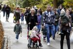Kaatsheuvel 19 november 2017
Barbie ( Samantha de Jong) in de efteling met haar kinderen en viend Rolf Tangel met zoontje