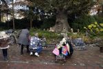 Kaatsheuvel 19 november 2017
Barbie ( Samantha de Jong) in de efteling met haar kinderen en viend Rolf Tangel met zoontje
