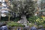 Kaatsheuvel 19 november 2017
Barbie ( Samantha de Jong) in de efteling met haar kinderen en viend Rolf Tangel met zoontje