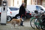 Amsterdam 24 november 2017
Michiel Romeijn met zijn vrouw
