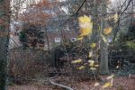 Den Haag 30 november 2018
De verbouwing van Huis ten Bosch waar Koning Wilem Alexander en Koningin Maxima binnenkort gaan wonen is bijna klaar.
