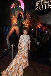 Amsterdam 19 december 2018
Sportman van het jaar verkiezing in afas live. Prinses Margriet in een jurk van Addy v d Krommenacker