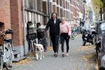 Amsterdam 22 november 2018
Sonja Bakker met vriend Barry Suijdam aan de wandel met hun hond in Amsterdam zuid.