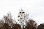 Amsterdam 20 november 2020
Aanbouw nieuwe Big Brother huis op de parkeerplaats bij endemol naast de Amsterdam Arena.