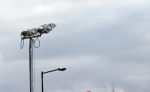 Amsterdam 20 november 2020
Aanbouw nieuwe Big Brother huis op de parkeerplaats bij endemol naast de Amsterdam Arena.