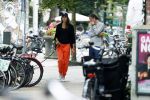 Amsterdam 22 juli 2020
Iris Hond met een kennis en haar hond in Amsterdam zuid.