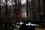 Lage Vuursche 3 december 2020
Het graf van Prins Friso op de begraafplaats in Lage Vuursche naatt kasteel Drakesteyn waar Prinses Beatrix woont