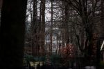 Lage Vuursche 3 december 2020
Het graf van Prins Friso op de begraafplaats in Lage Vuursche naatt kasteel Drakesteyn waar Prinses Beatrix woont