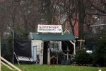 Amsterdam 30 november 2020
Kerstbomen te koop op de apollolaan