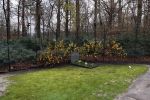 Lage Vuursche 3 december 2020
Het graf van Prins Friso op de begraafplaats in Lage Vuursche naatt kasteel Drakesteyn waar Prinses Beatrix woont