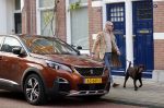 Den Haag 28 november 2020
Rogier Smit komt aanlopen met zijn hond bij zijn huis . Jeffrey Lake is bij hem aan het klussen