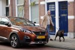 Den Haag 28 november 2020
Rogier Smit komt aanlopen met zijn hond bij zijn huis . Jeffrey Lake is bij hem aan het klussen