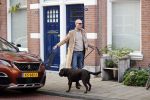 Den Haag 28 november 2020
Rogier Smit komt aanlopen met zijn hond bij zijn huis . Jeffrey Lake is bij hem aan het klussen