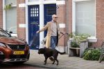 Den Haag 28 november 2020
Rogier Smit komt aanlopen met zijn hond bij zijn huis . Jeffrey Lake is bij hem aan het klussen