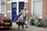 Den Haag 28 november 2020
Rogier Smit komt aanlopen met zijn hond bij zijn huis . Jeffrey Lake is bij hem aan het klussen