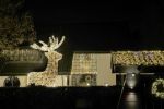 Vinkeveen 8 december 2020
Huis van Tino Martin helemaal verlicht met kerstverlichting