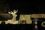 Vinkeveen 8 december 2020
Huis van Tino Martin helemaal verlicht met kerstverlichting