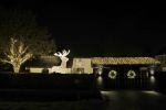 Vinkeveen 8 december 2020
Huis van Tino Martin helemaal verlicht met kerstverlichting