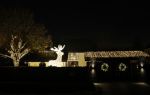 Vinkeveen 8 december 2020
Huis van Tino Martin helemaal verlicht met kerstverlichting