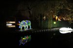 Vinkeveen 8 december 2020
Huis van Tino Martin helemaal verlicht met kerstverlichting