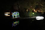 Vinkeveen 8 december 2020
Huis van Tino Martin helemaal verlicht met kerstverlichting