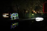 Vinkeveen 8 december 2020
Huis van Tino Martin helemaal verlicht met kerstverlichting