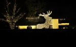 Vinkeveen 8 december 2020
Huis van Tino Martin helemaal verlicht met kerstverlichting