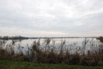 Zuiderwoude 8 december 2020
Water bij Zuiderwoude