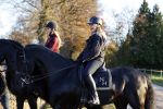 Lunteren 22 november 2021
Presentatie paarden calendar waarvan opbrengst naar het KWF gaat . Bridget Maasland en Samantha Steenwijk krijgen het eerste exemplaar . Ze kopen per paard aanrijden