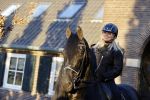 Lunteren 22 november 2021
Presentatie paarden calendar waarvan opbrengst naar het KWF gaat . Bridget Maasland en Samantha Steenwijk krijgen het eerste exemplaar . Ze kopen per paard aanrijden
