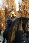 Lunteren 22 november 2021
Presentatie paarden calendar waarvan opbrengst naar het KWF gaat . Bridget Maasland en Samantha Steenwijk krijgen het eerste exemplaar . Ze kopen per paard aanrijden