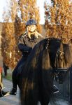 Lunteren 22 november 2021
Presentatie paarden calendar waarvan opbrengst naar het KWF gaat . Bridget Maasland en Samantha Steenwijk krijgen het eerste exemplaar . Ze kopen per paard aanrijden