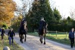 Lunteren 22 november 2021
Presentatie paarden calendar waarvan opbrengst naar het KWF gaat . Bridget Maasland en Samantha Steenwijk krijgen het eerste exemplaar . Ze kopen per paard aanrijden