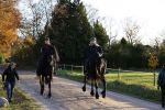 Lunteren 22 november 2021
Presentatie paarden calendar waarvan opbrengst naar het KWF gaat . Bridget Maasland en Samantha Steenwijk krijgen het eerste exemplaar . Ze kopen per paard aanrijden