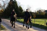 Lunteren 22 november 2021
Presentatie paarden calendar waarvan opbrengst naar het KWF gaat . Bridget Maasland en Samantha Steenwijk krijgen het eerste exemplaar . Ze kopen per paard aanrijden
