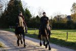 Lunteren 22 november 2021
Presentatie paarden calendar waarvan opbrengst naar het KWF gaat . Bridget Maasland en Samantha Steenwijk krijgen het eerste exemplaar . Ze kopen per paard aanrijden
